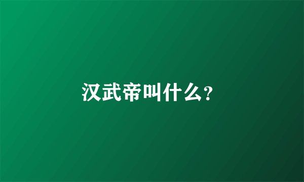 汉武帝叫什么？