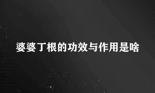 婆婆丁根的功效与作用是啥