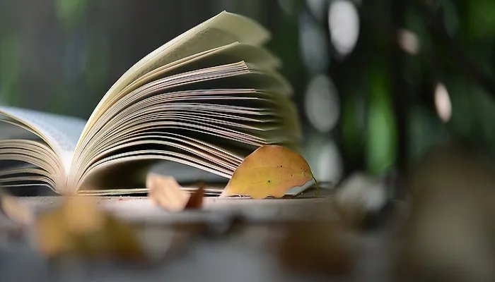 巍巍什么四字成语有哪些 巍巍什么四字成语