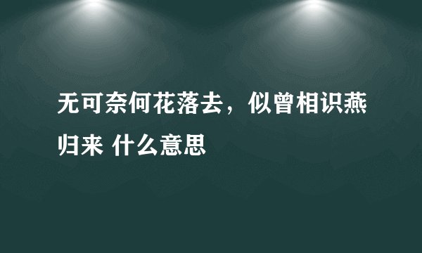无可奈何花落去,似曾相识燕归来 什么意思