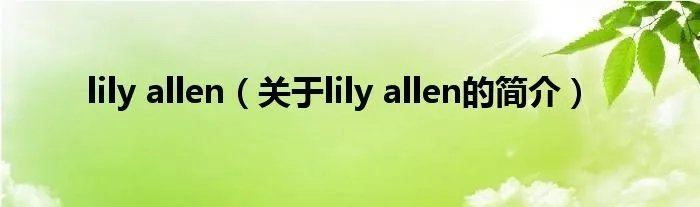 lily allen（关于lily allen的简介）