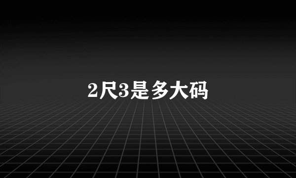 2尺3是多大码