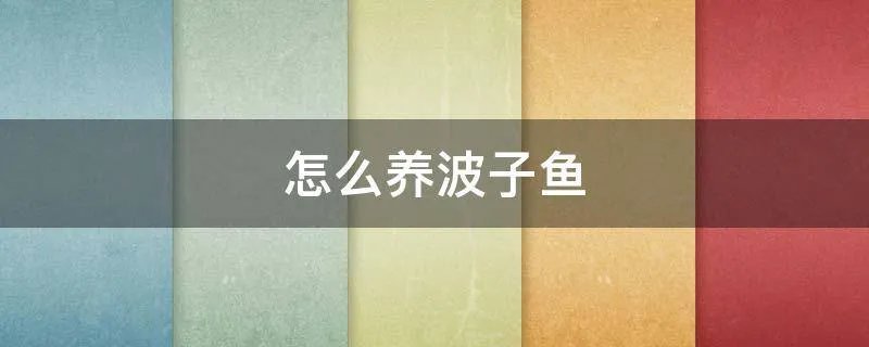 怎么养波子鱼