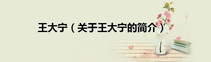 王大宁（关于王大宁的简介）