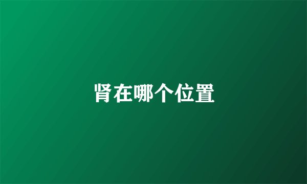 肾在哪个位置