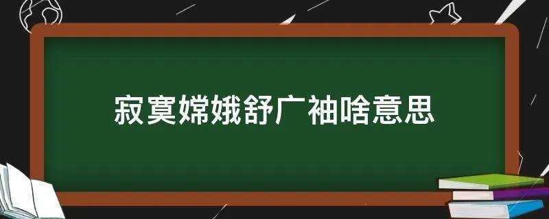 寂寞嫦娥舒广袖啥意思