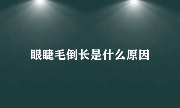 眼睫毛倒长是什么原因