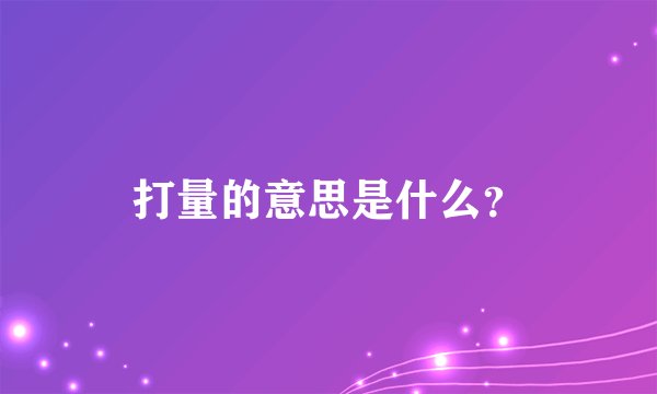 打量的意思是什么？