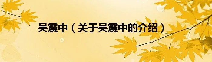 吴震中（关于吴震中的介绍）