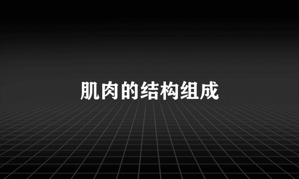 肌肉的结构组成
