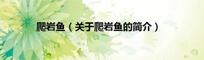 爬岩鱼（关于爬岩鱼的简介）
