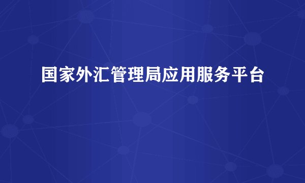 国家外汇管理局应用服务平台