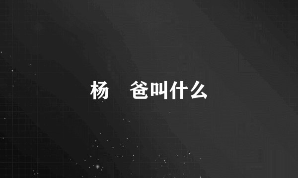 杨玏爸叫什么