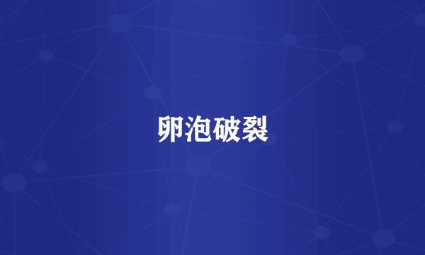 卵泡破裂