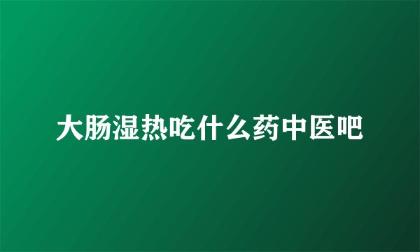 大肠湿热吃什么药中医吧