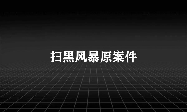 扫黑风暴原案件