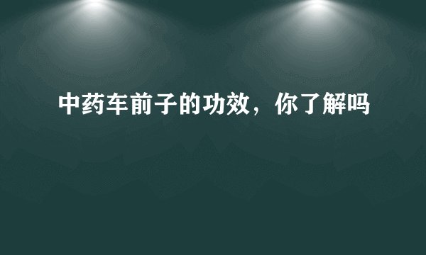 中药车前子的功效，你了解吗
