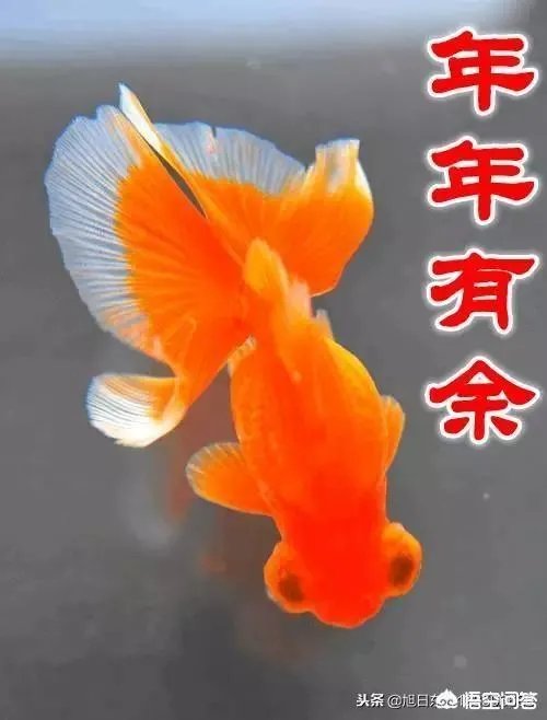 给压岁钱，到底给多少钱合适？