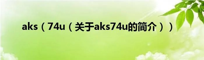 aks（74u（关于aks74u的简介））