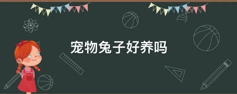 宠物兔子好养吗