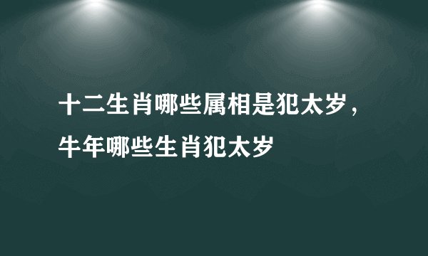 十二生肖哪些属相是犯太岁,牛年哪些生肖犯太岁