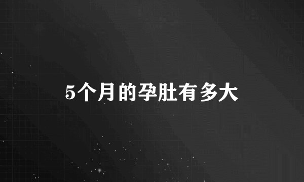 5个月的孕肚有多大