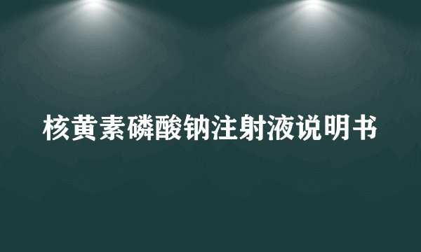 核黄素磷酸钠注射液说明书