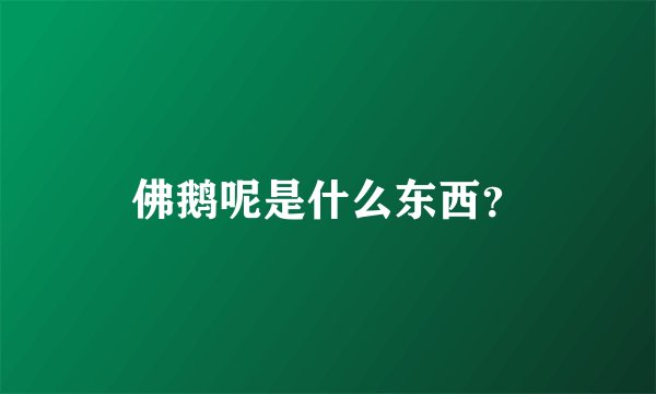 佛鹅呢是什么东西？