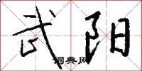 武阳