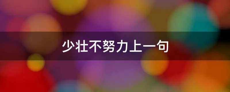 少壮不努力上一句