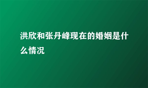 洪欣和张丹峰现在的婚姻是什么情况