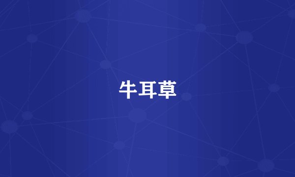 牛耳草