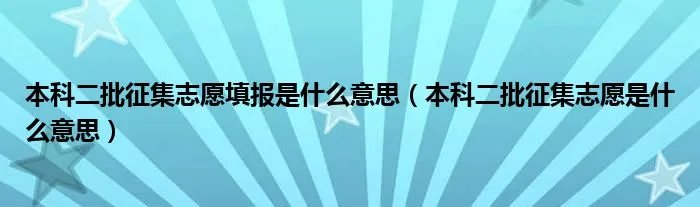 本科二批征集志愿填报是什么意思(本科二批征集志愿是什么意思)