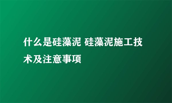 什么是硅藻泥 硅藻泥施工技术及注意事项