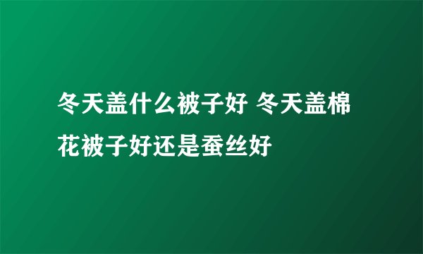 冬天盖什么被子好 冬天盖棉花被子好还是蚕丝好