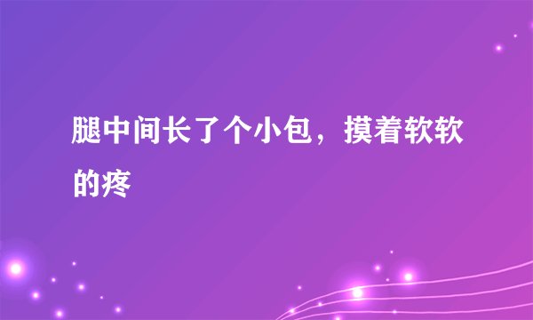 腿中间长了个小包，摸着软软的疼