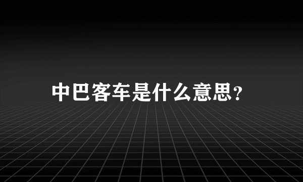 中巴客车是什么意思?