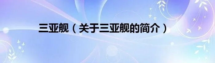 三亚舰(关于三亚舰的简介)