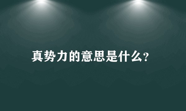 真势力的意思是什么？