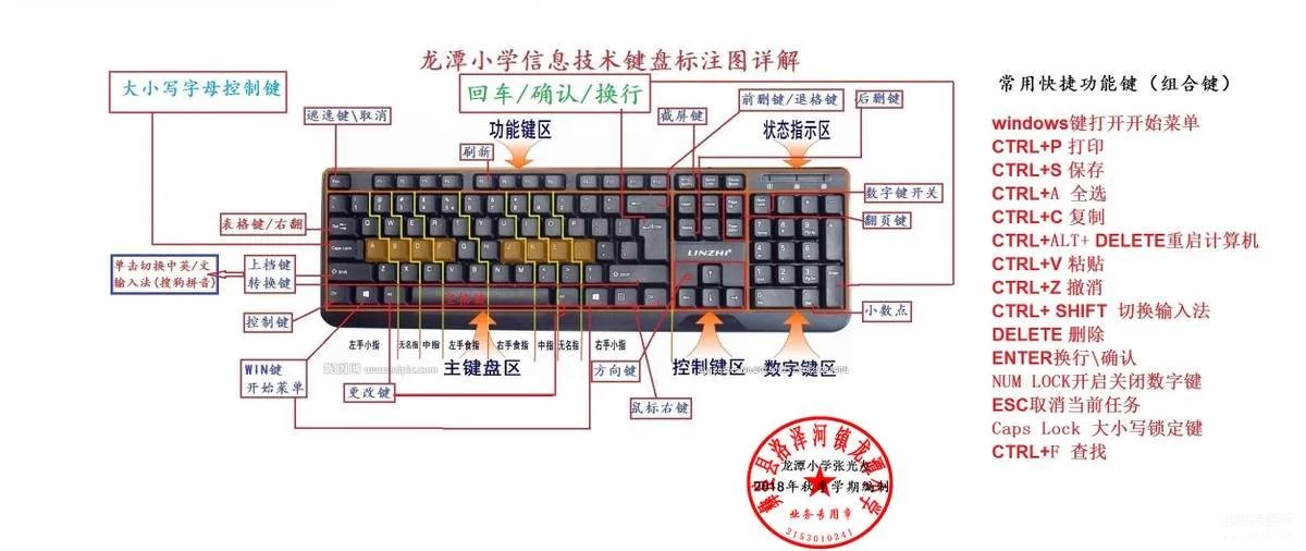 电脑键盘全图详细（电脑键盘各功能示意图）
