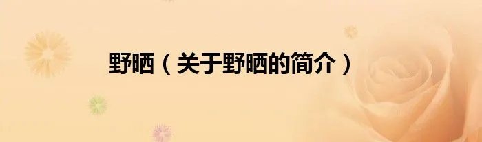野晒（关于野晒的简介）