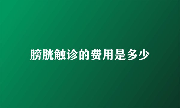 膀胱触诊的费用是多少