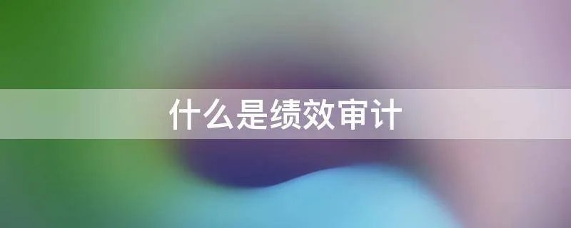 什么是绩效审计