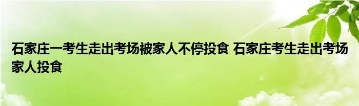 石家庄一考生走出考场被家人不停投食 石家庄考生走出考场家人投食
