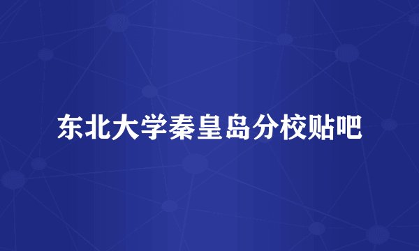 东北大学秦皇岛分校贴吧