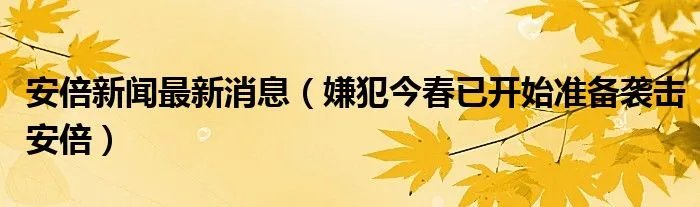安倍新闻最新消息（嫌犯今春已开始准备袭击安倍）
