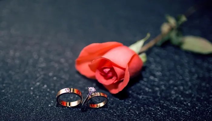 什么是毕婚族 毕婚族什么意思