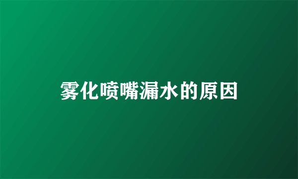 雾化喷嘴漏水的原因