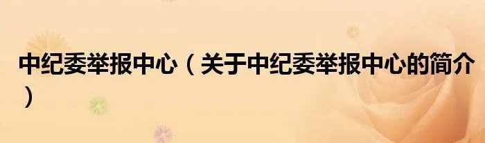 中纪委举报中心（关于中纪委举报中心的简介）