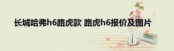 长城哈弗h6路虎款 路虎h6报价及图片